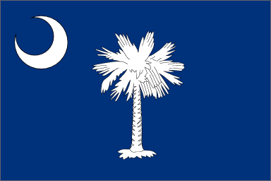 South carolina flag